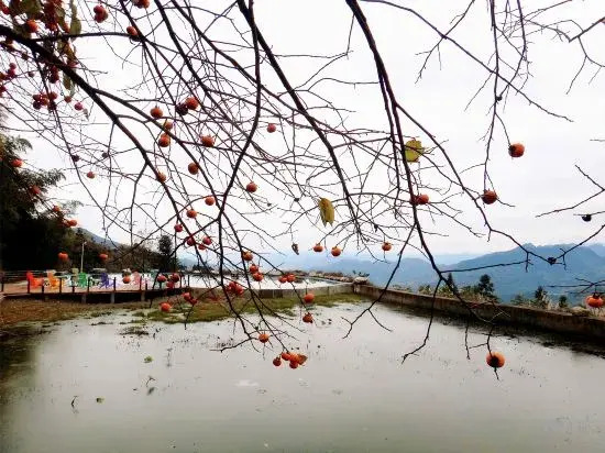 Чунцин: Chongqing Xingyu Xingyuan Tent Homestay please