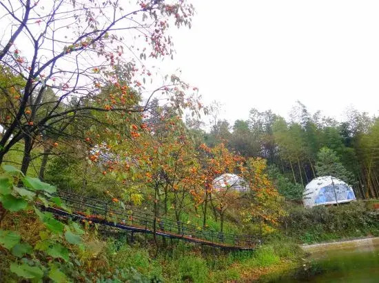 Чунцин: Chongqing Xingyu Xingyuan Tent Homestay please