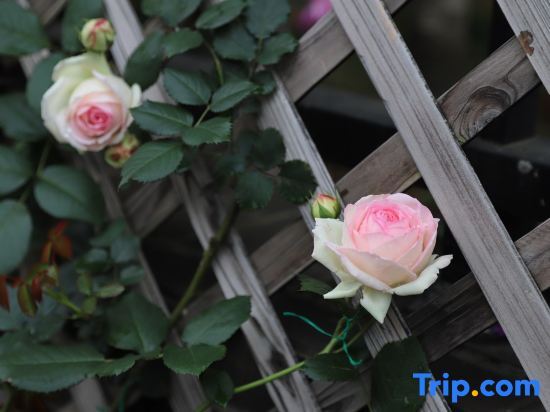 Юнчжоу: Yongzhou Xiju Characteristic Homestay