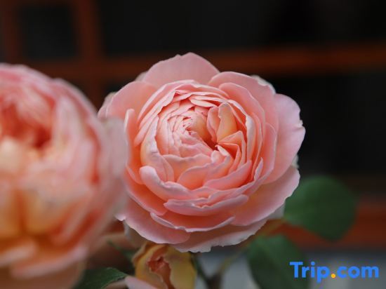Юнчжоу: Yongzhou Xiju Characteristic Homestay