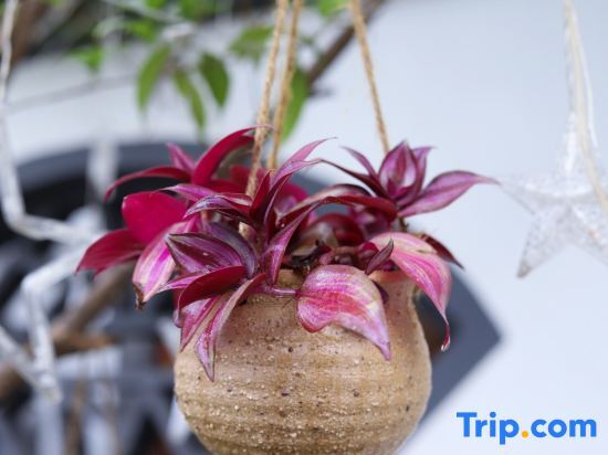Юнчжоу: Yongzhou Xiju Characteristic Homestay