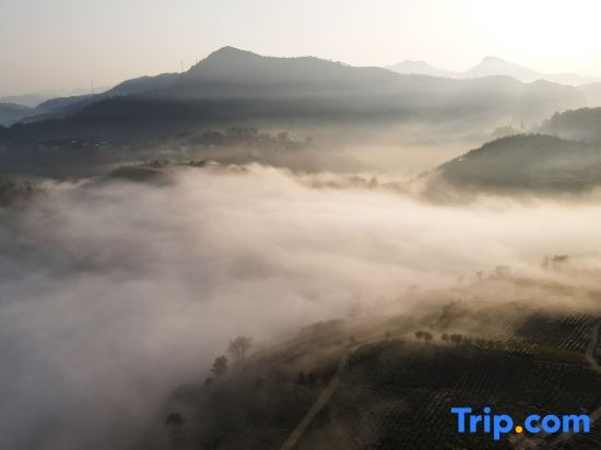 Шаоксинг: Yunlan Mijing Homestay (Xiayanbei Branch)