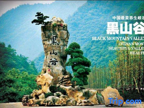Чунцин: Chongqing Yuting Business Hotel