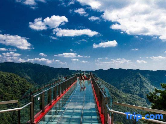 Чунцин: Chongqing Yuting Business Hotel