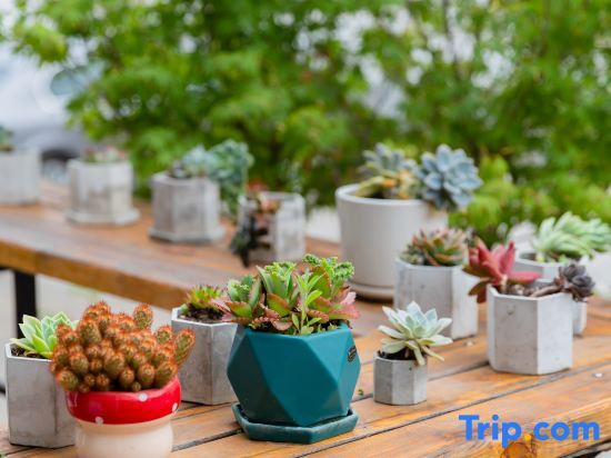 Вэньчжоу: Wenzhou Qishui Sanshe Homestay