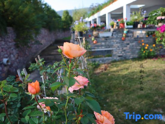 Нанкин: Nanjing Fengjingyuan Homestay