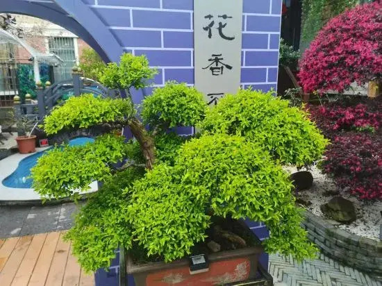Чанчжоу: Liyang Lingzhu Homestay