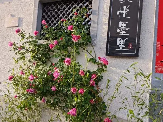 Шанграо: Wangkou Jiuyue Murray Homestay