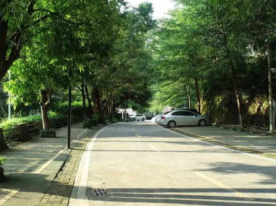 Чжаоцин: Qingquangu Homestay