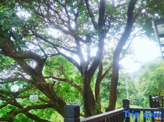 Хуайхуа: Yard Homestay