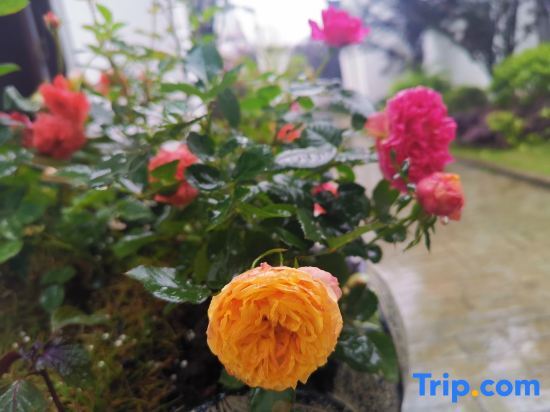 Юнчжоу: Yongzhou Xiaoxiang Xuyuan Homestay