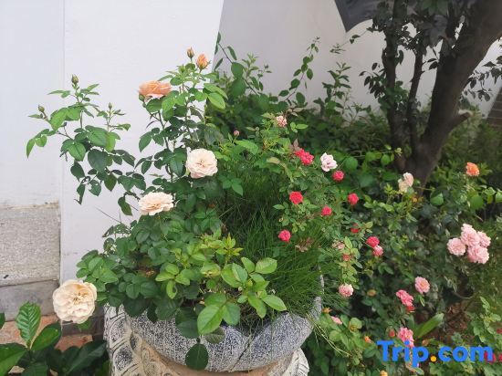 Юнчжоу: Yongzhou Xiaoxiang Xuyuan Homestay