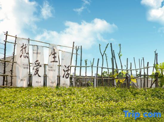 Шанхай: Chongming Island·Years Slow Family Family Holiday Beauty