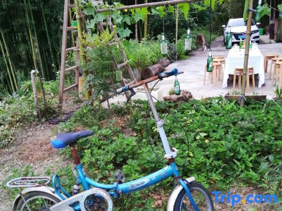 Ханчжоу: Huaxuantang Homestay (Shengxianli Ski Resort)