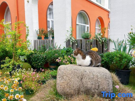 Тайчжоу: Xianju Yundandan Tianlanlan Homestay