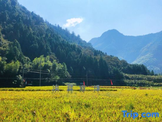 Тайчжоу: Xianju Yundandan Tianlanlan Homestay