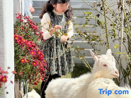 Тайчжоу: Xianju Yundandan Tianlanlan Homestay