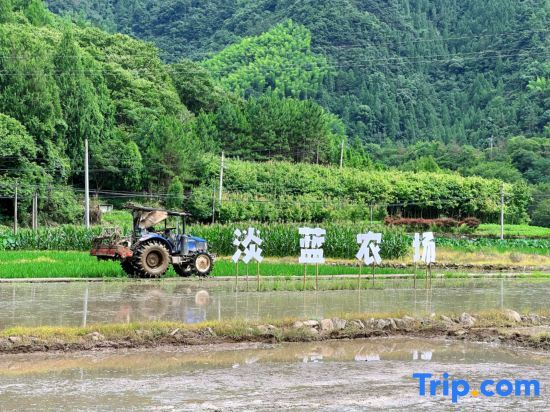 Тайчжоу: Xianju Yundandan Tianlanlan Homestay