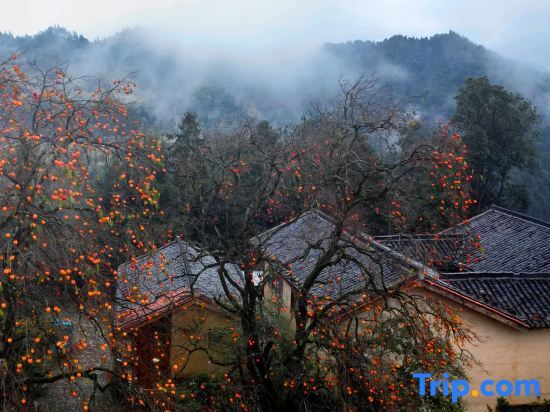 Лишуй: SongYang Into-the-Clouds Homestay