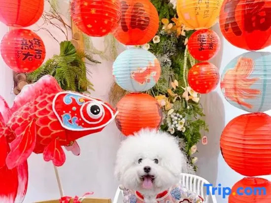 Чэндэ: Yishan Yitian Homestay