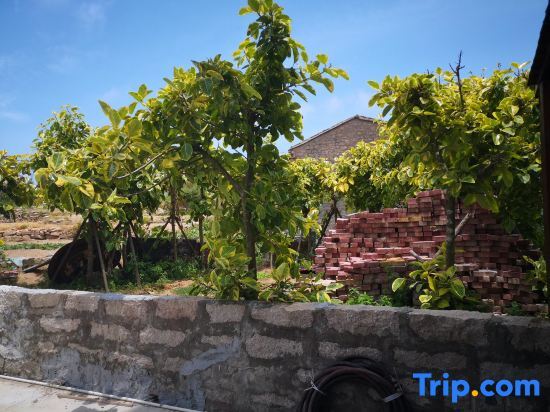 Фучжоу: Pingtan Kenting Four Seasons Homestay