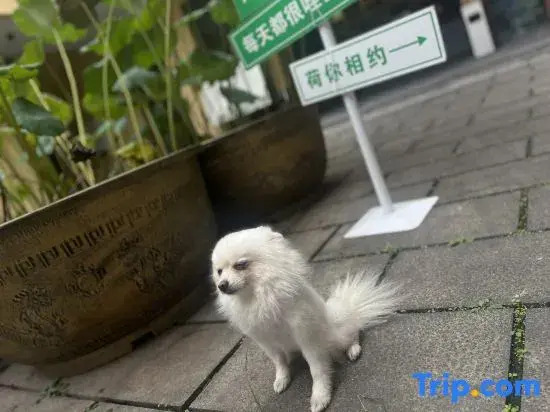 Чунцин: Hetang Hanshe Chongqing