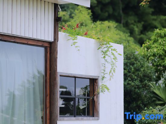 Чунцин: xinbo nanshan homestay