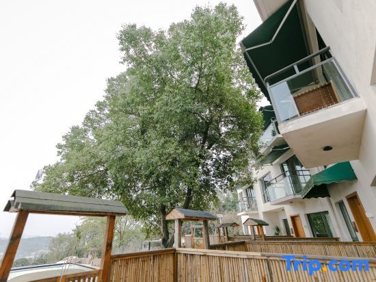 Чунцин: xinbo nanshan homestay