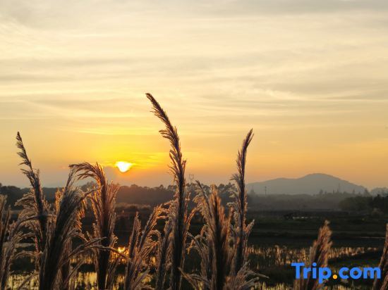 Ваньнин: Wanning Shiqi Homestay (Wanning Shenzhou Station)