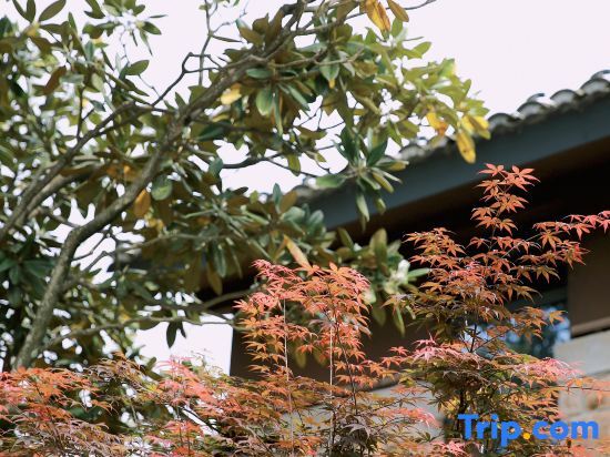 Haixia Youth Camp Resort & Hotel — фото 3