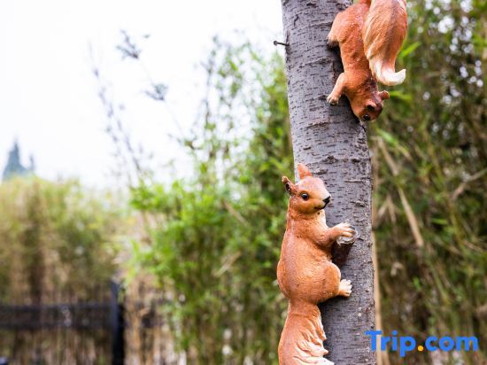 Чанчжоу: Fuyang Nanshan·Yuanyu Xun Homestay