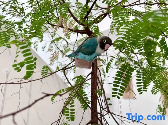 Тунляо: Huolin Gol Fengqiao Yebo Homestay