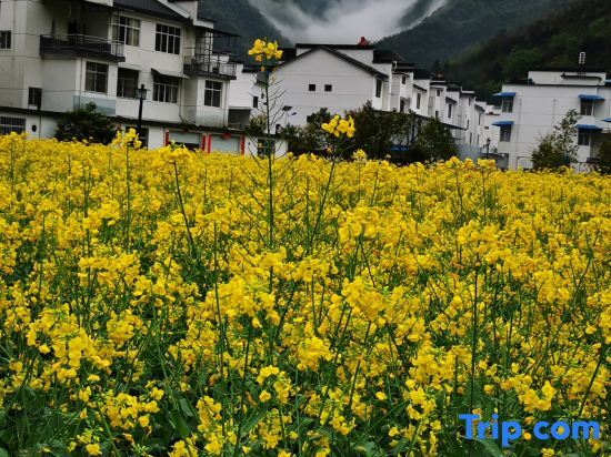 Хуаншань: Yinniujiang Wuzhifeng Hotel