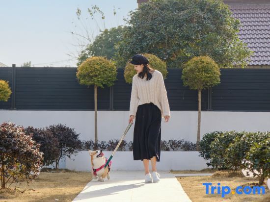 Шанхай: Shanghai Songjian · Qinghouxue Homestay