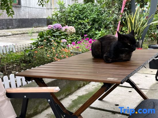 Шанхай: Dianshanhu Small Fishing Village Homestay
