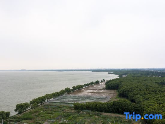 Шанхай: Dianshanhu Small Fishing Village Homestay
