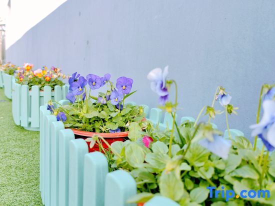 Шанхай: Shanghai First Heart Encounter Homestay