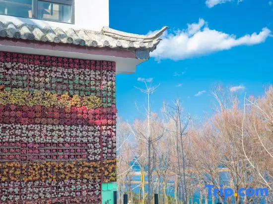 Дали: Yiqingling Homestay (Bohai Swan Ecological Corridor)