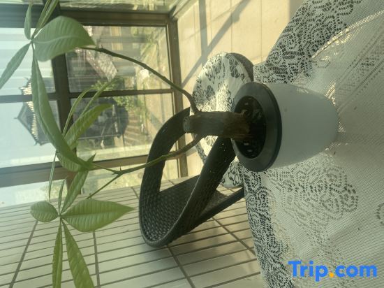 Шанхай: Shanghai Shaoji Homestay