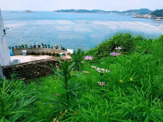 Чжоушань: Shengsi wolfberry Shengshan Island Youth Hostel