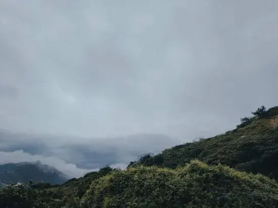 Чжоушань: Shengsi wolfberry Shengshan Island Youth Hostel