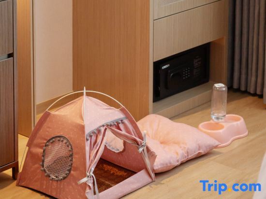 Кайфын: Home2 Suites By Hilton Kaifeng Millennium City Park