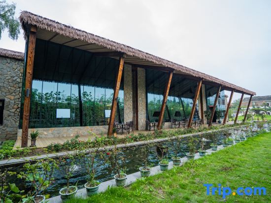 Шанхай: Shanghai Xingyuliyun Homestay