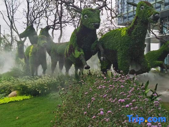 Яньчэн: Husu Hisolo Hotel
