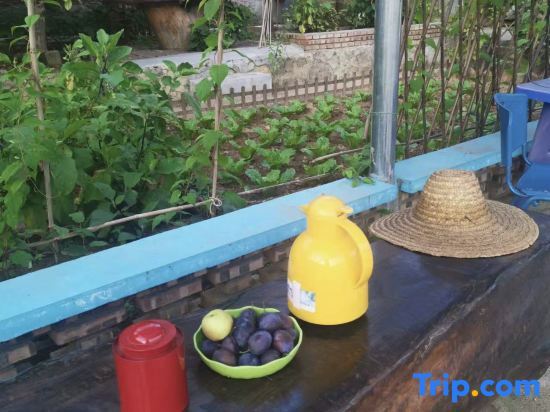 Пекин: Beijing Tianhechuan Yishe Homestay