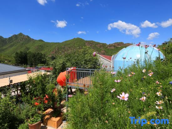 Пекин: Beijing Tianhechuan Yishe Homestay