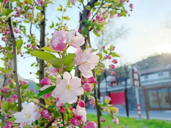 Пекин: Yixingshanju guesthouse