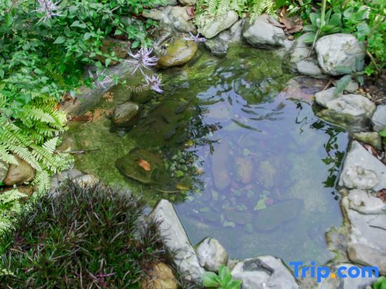 Чжаоцин: Qingyuan Shuiguyuan Hot Spring Homestay