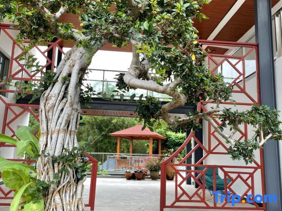 Чжаоцин: Qingyuan Shuiguyuan Hot Spring Homestay