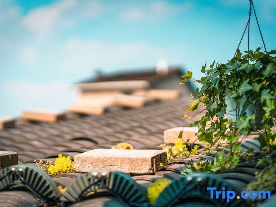 Лунъянь: Changting Jichuan Bieyuan Homestay